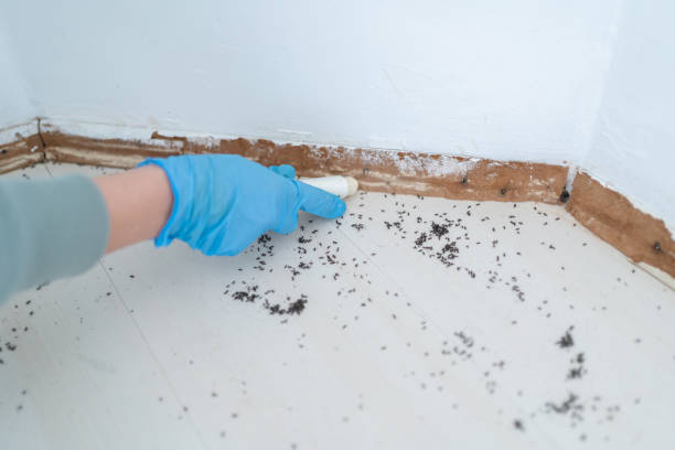 Best Pest Control for Multi-Family Homes  in Lamoni, IA